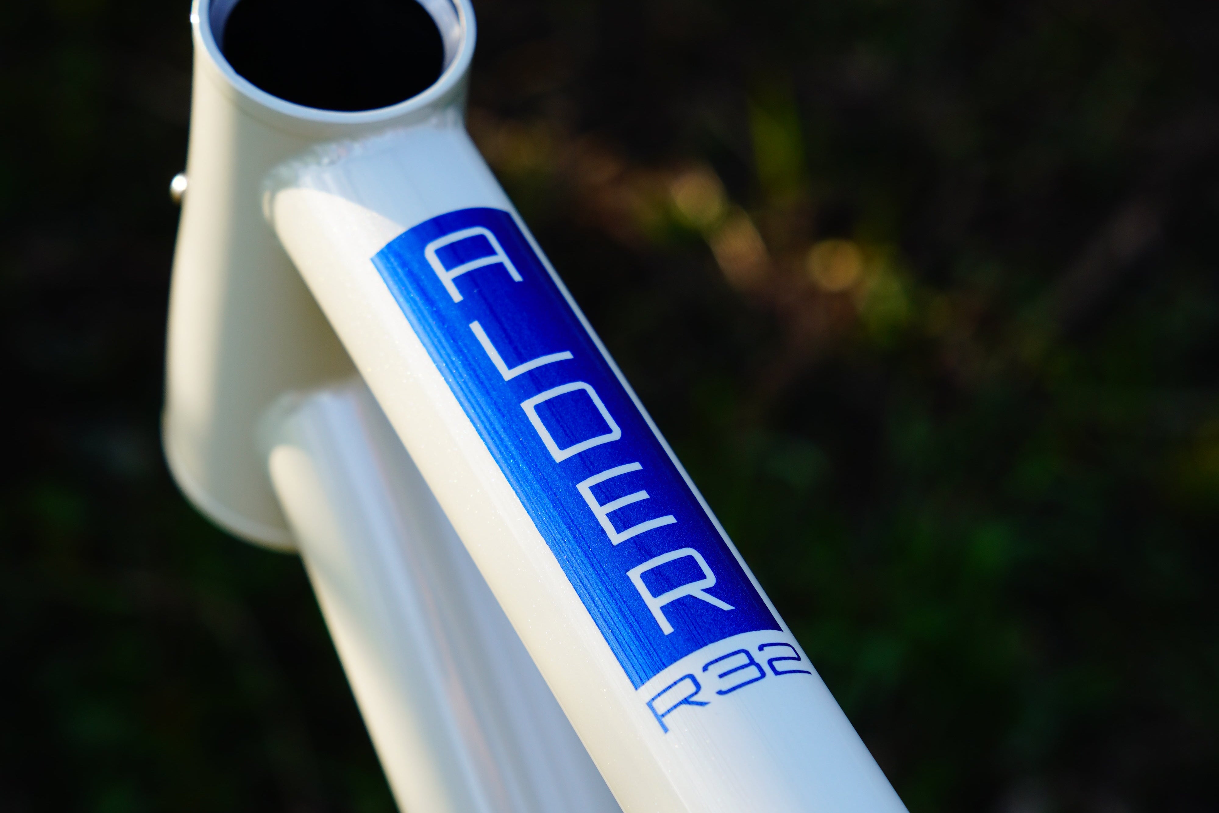 ALDER R32 (RIGID MTB)